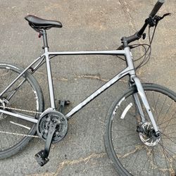 Giant Escape Bike