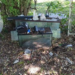 2 Fish Tanks Pump And Special Light 