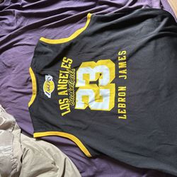 LeBron James jersey