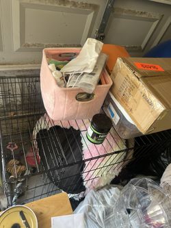 Dog Items… Must Go