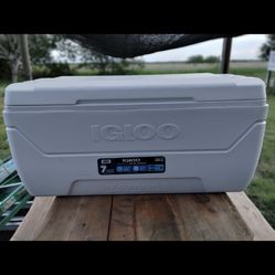 Igloo Cooler