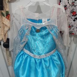 Frozen Costume