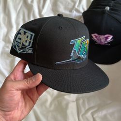 Devil Rays Fitted Hat
