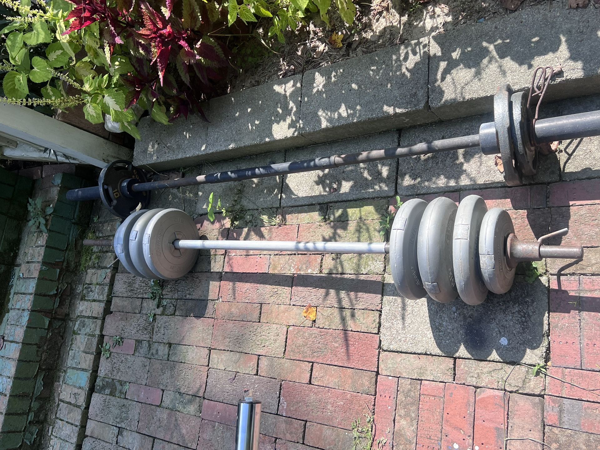 Gym Equipment