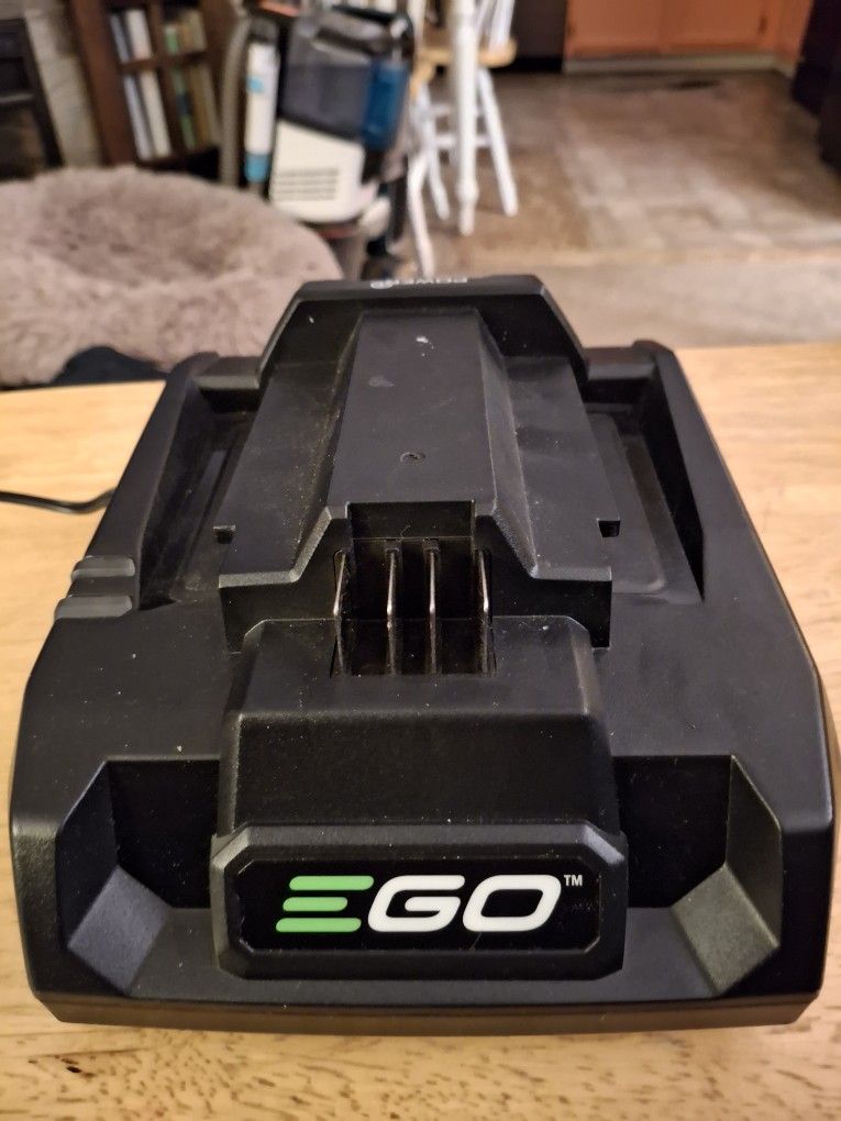 E Go 56v Charger Brand New $20.00 Each
