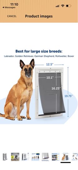Large Doggy Door (new in box!)