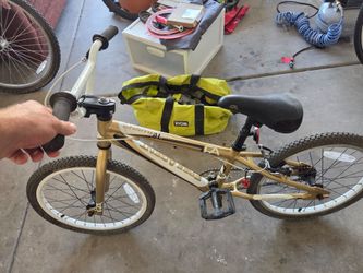 Champ AL free agent kids bike