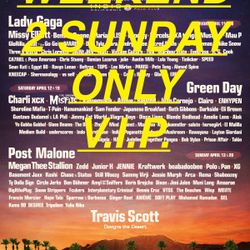 Coachella Music Festival 2025 Weekend 2 (SUNDAY ONLY VIP)