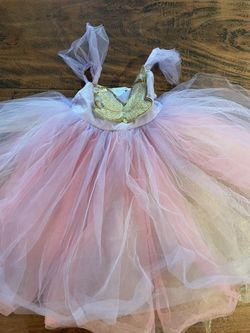 Pottery barn kids Butterfly Princess Halloween Costume