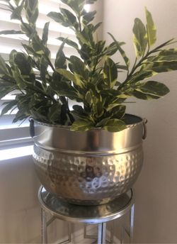 Plant holder