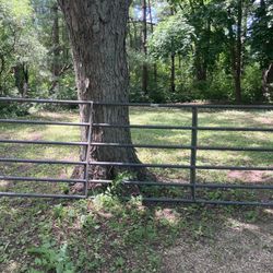 Behrens Heritage Livestock Gate With Round Corners