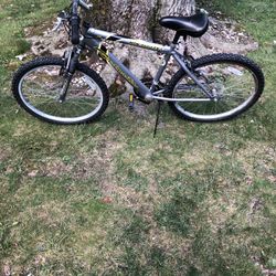 24” Mountain Bike 