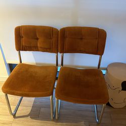Two Velvet Dining Room Chairs