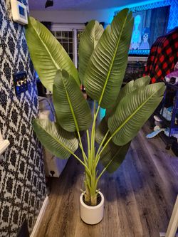 Birds of Paradise Fake Plant