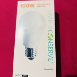 100 W Light bulbs