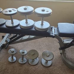 One Of A Kind Adjustable Dumbbell Set
