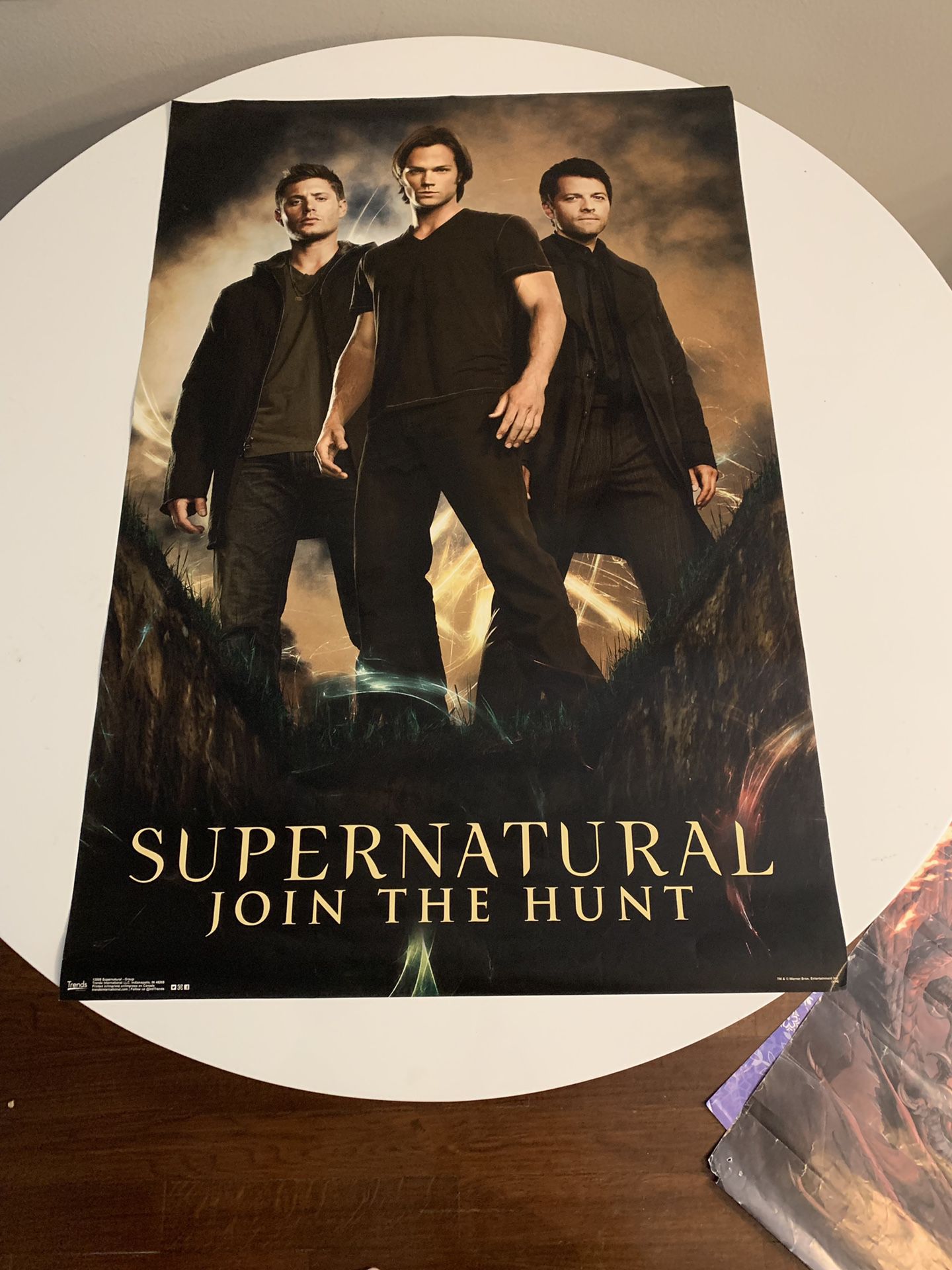 Group of Posters - Supernatural, Frozen, Firefly, Justin Bieber