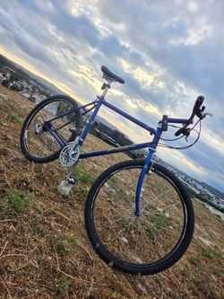 Mountain bike