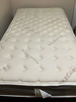 Twin mattress, Box Springs & Frame