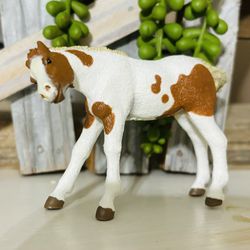 RETIRED Rare Nursing Foal