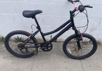 20” bike