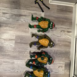 Teenage mutant ninja turtle collection