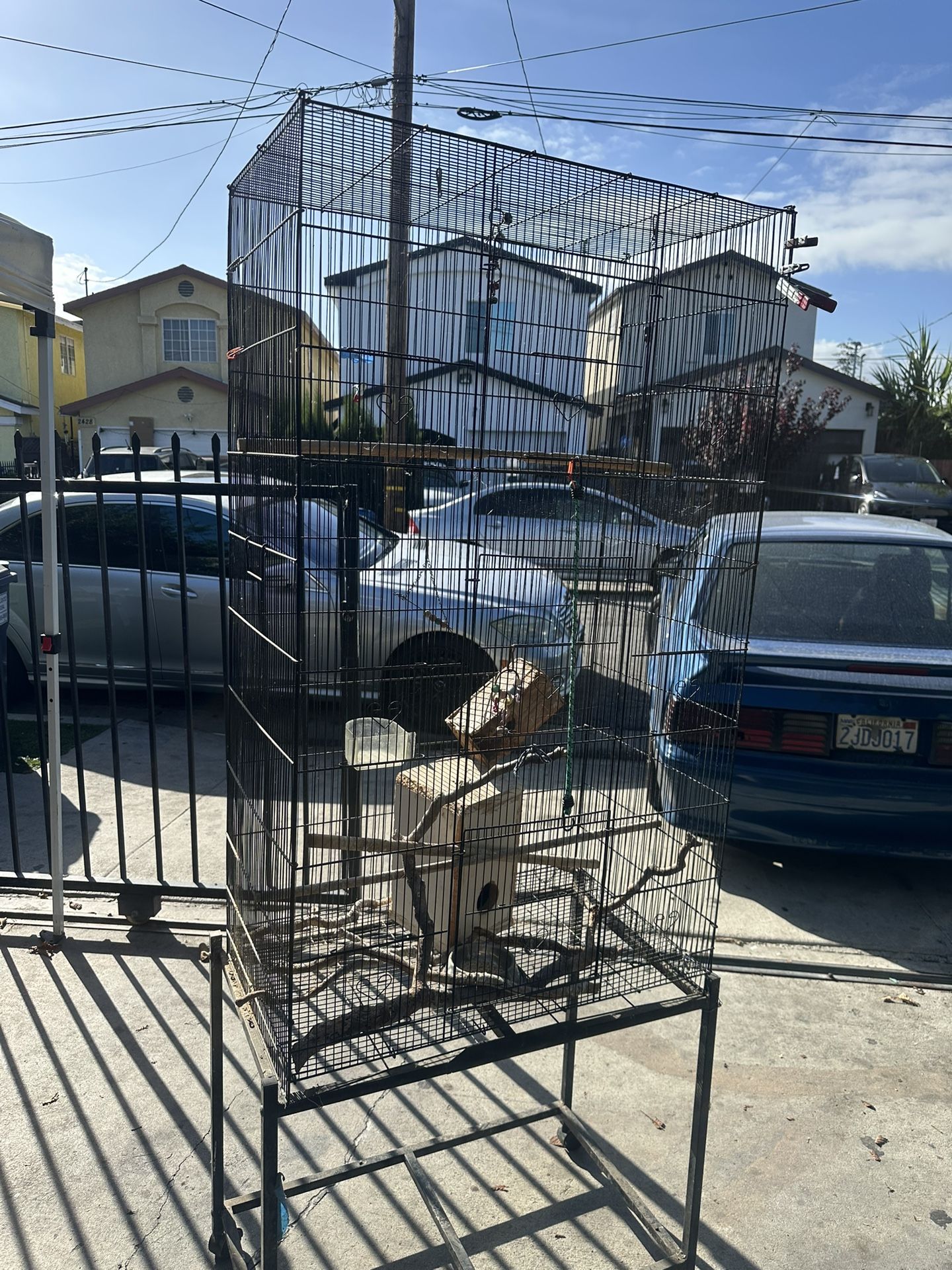 Big Bird Cage