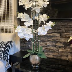 Orquídea blanca