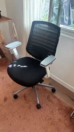 Branch Ergonomic Chair