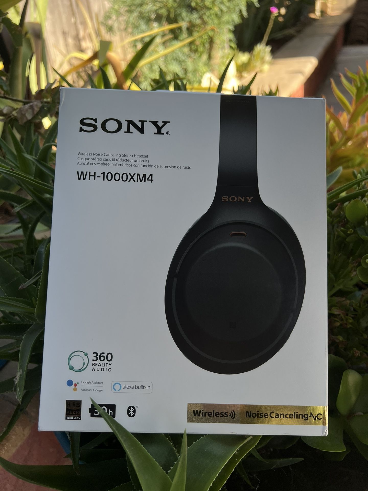 Sony Headphones