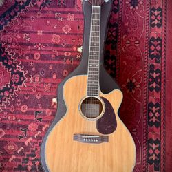 Takemine EG540DLX Acoustic Guitar