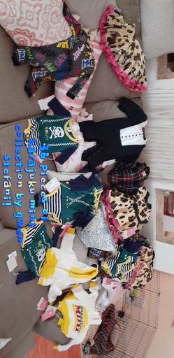 Harajuku mini collection by Gwen Stefani