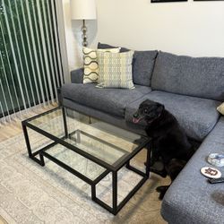 Glass Coffee Table