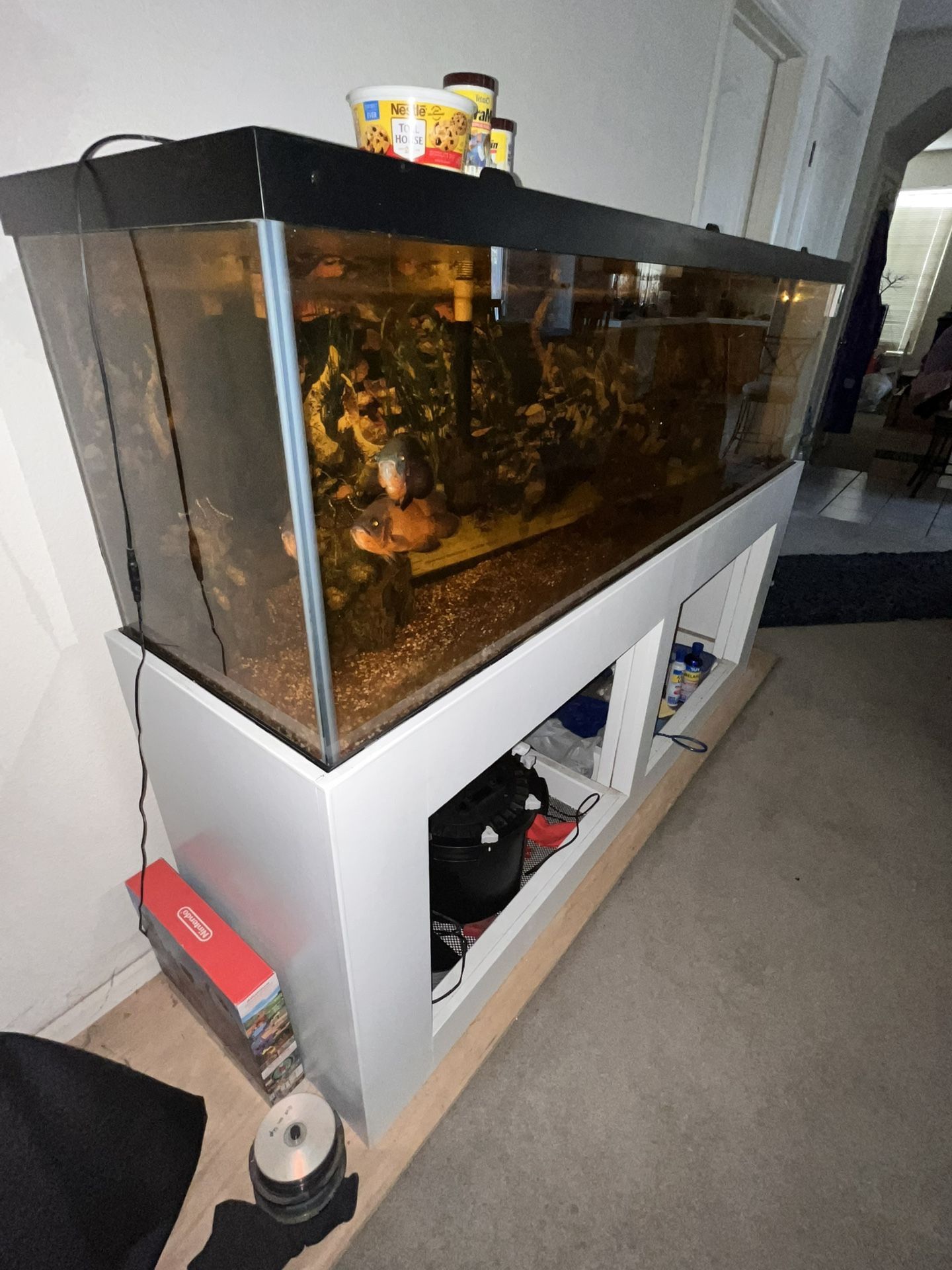 250 Gallon Fish Tank