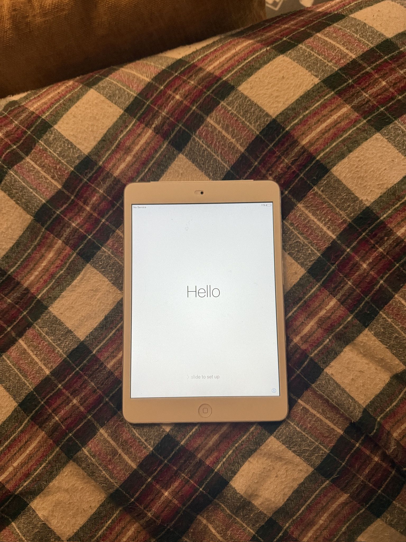iPad Mini
