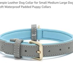 Dog Collar