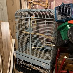Bird Cage