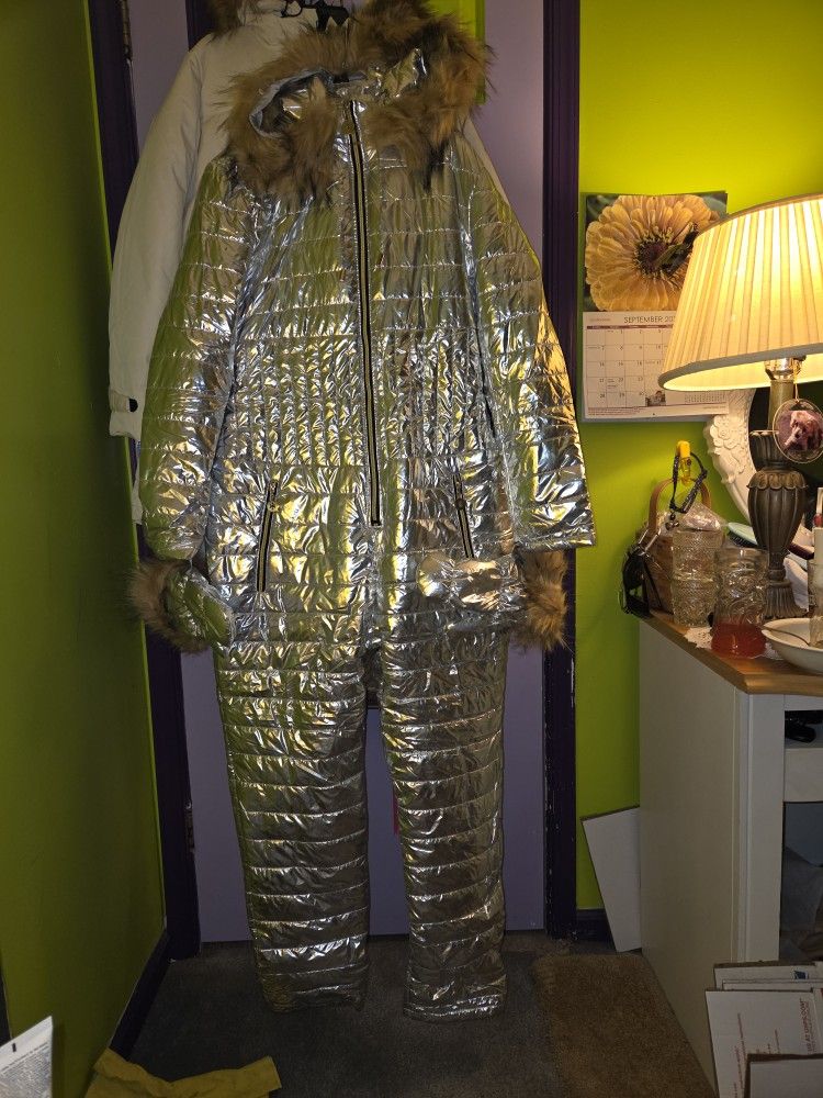 Brand New One Piece Down Ski Suit. Size Large With Matching Mittens, Hood. Water Proof