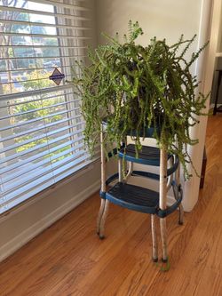 Vintage Mid-Century Cosco Step Stool/Plant Stand - Original Blue