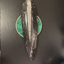 Orthoceras Fossil $25 (Crystals)