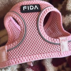 Kitten Harness