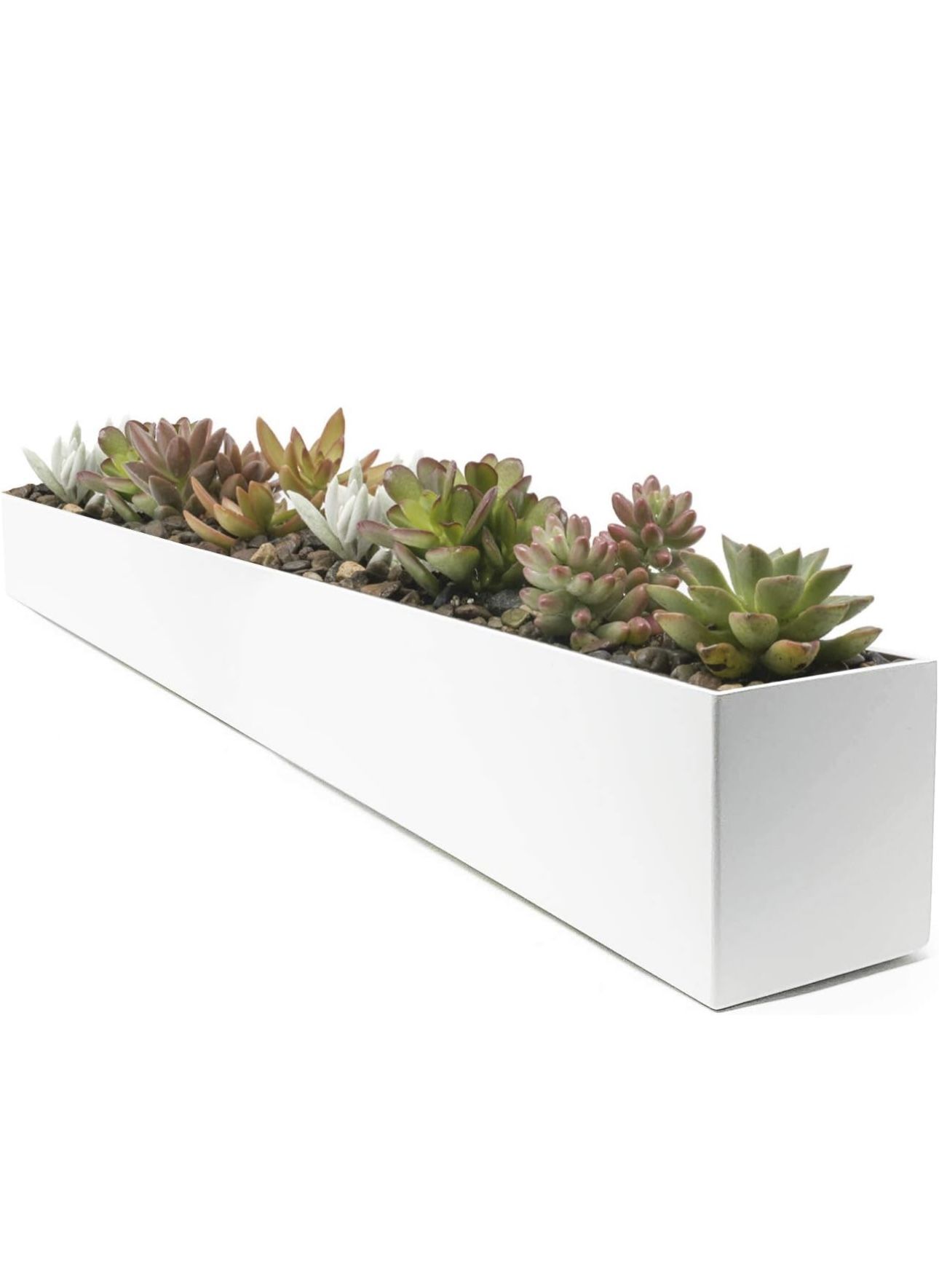 Tabletop Rectangular Glass Planter