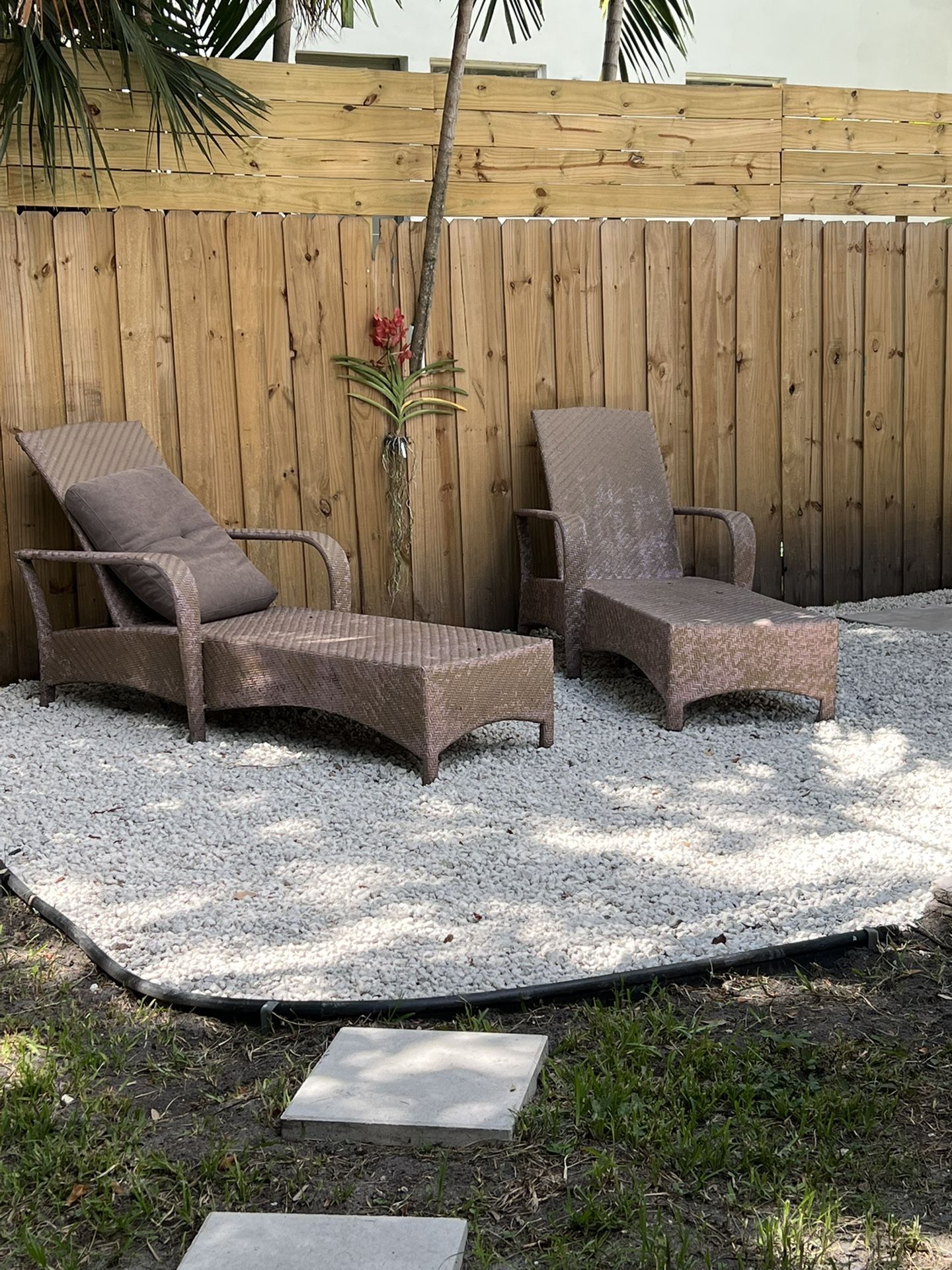 Two (2) Chaise Lounges With Pillowchsirs