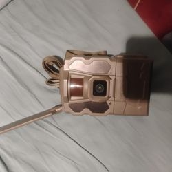 Trail Camera