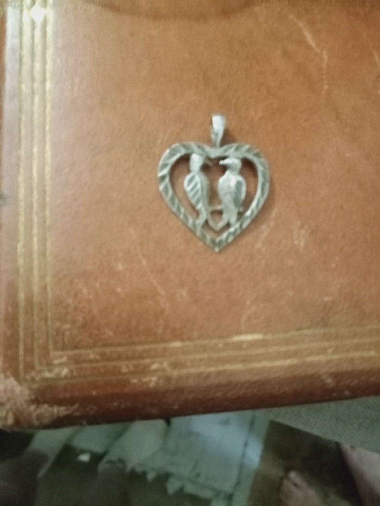 Beautiful Silver Charm