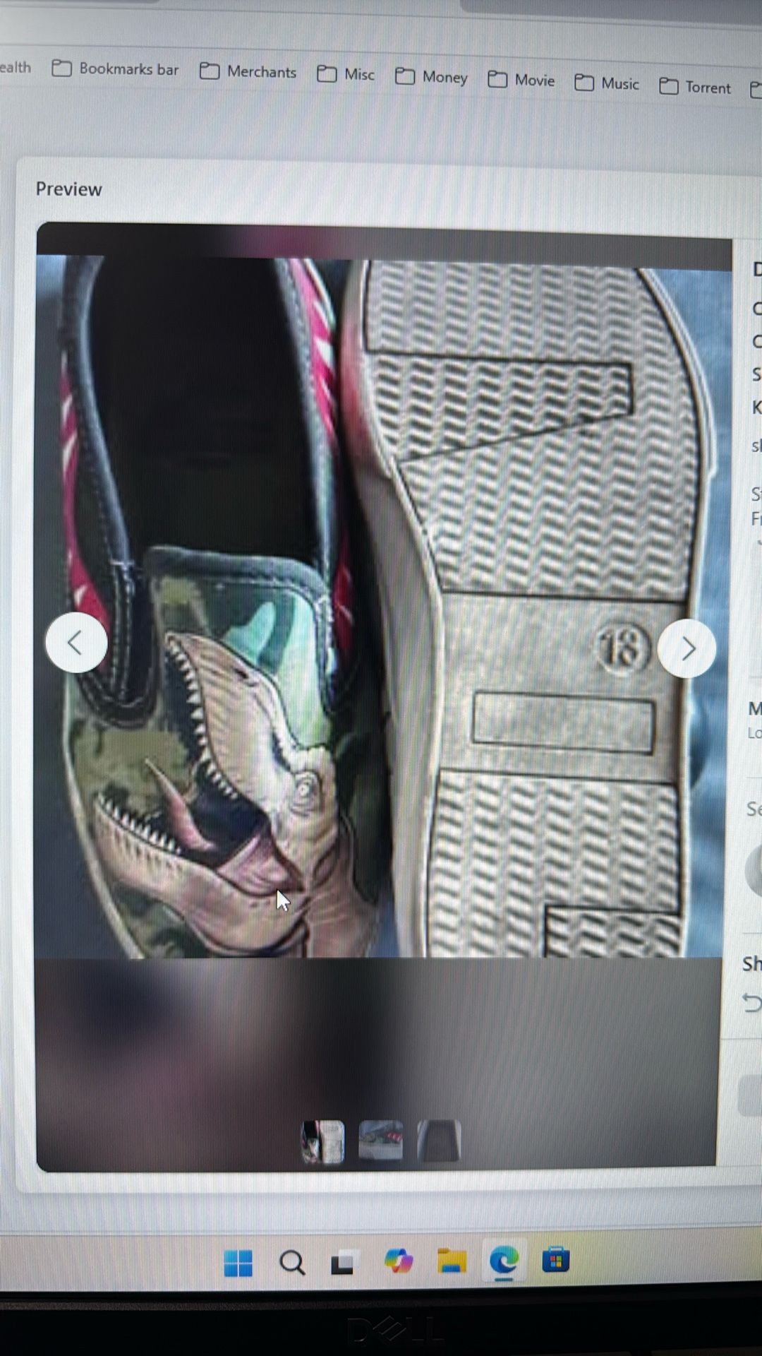 Size 13 Jurassic World Slip On Boys Shoes