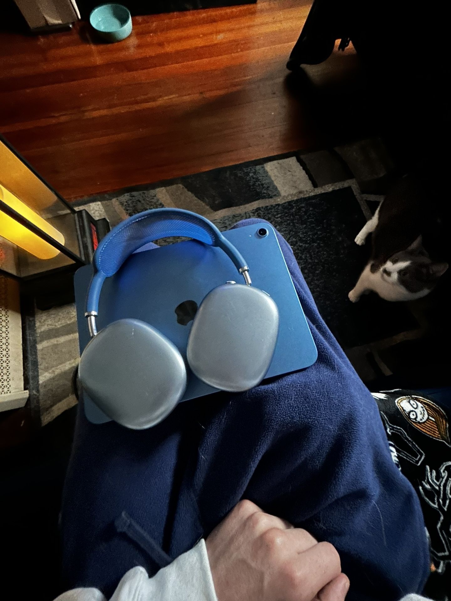 Blue iPad An AirPod Max’s 