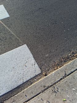 Lost Tan Backpack $100 Reward