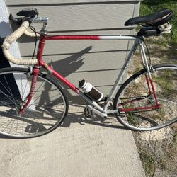 Schwinn Traveler Bike