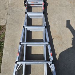 Ladder Little Giant Multi 22